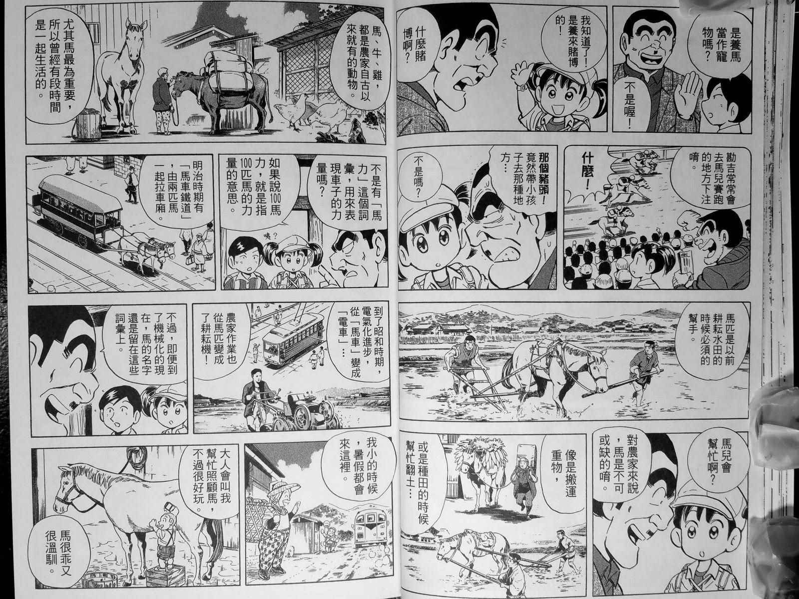 第 31 页