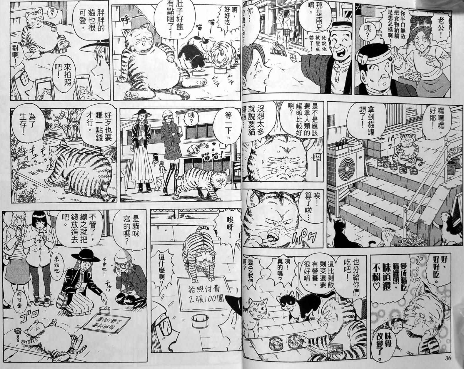 第 21 页