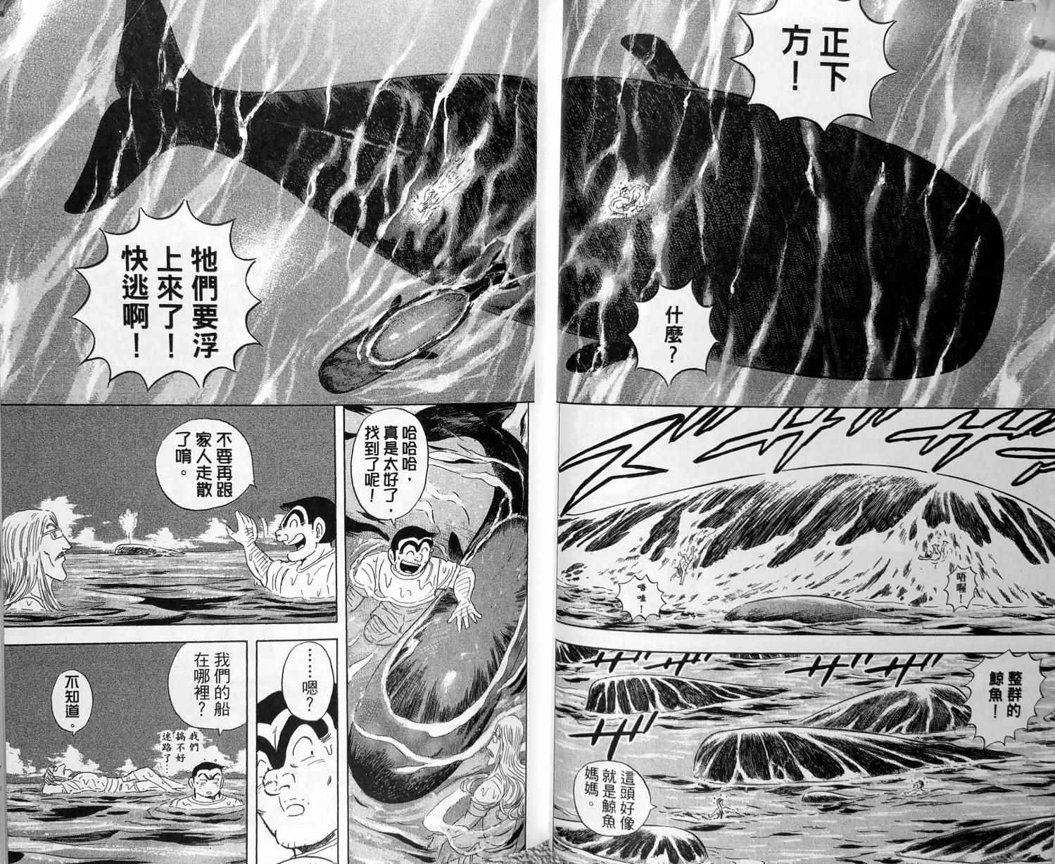 第 41 页