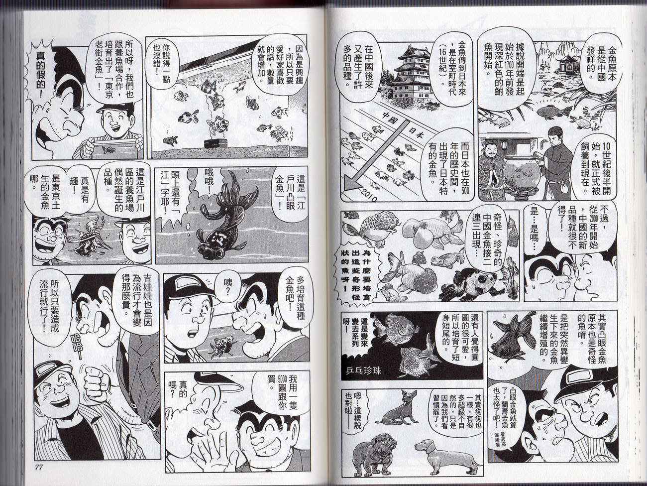 第 41 页