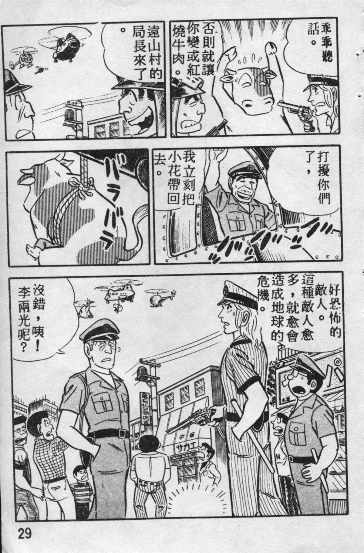第 28 页