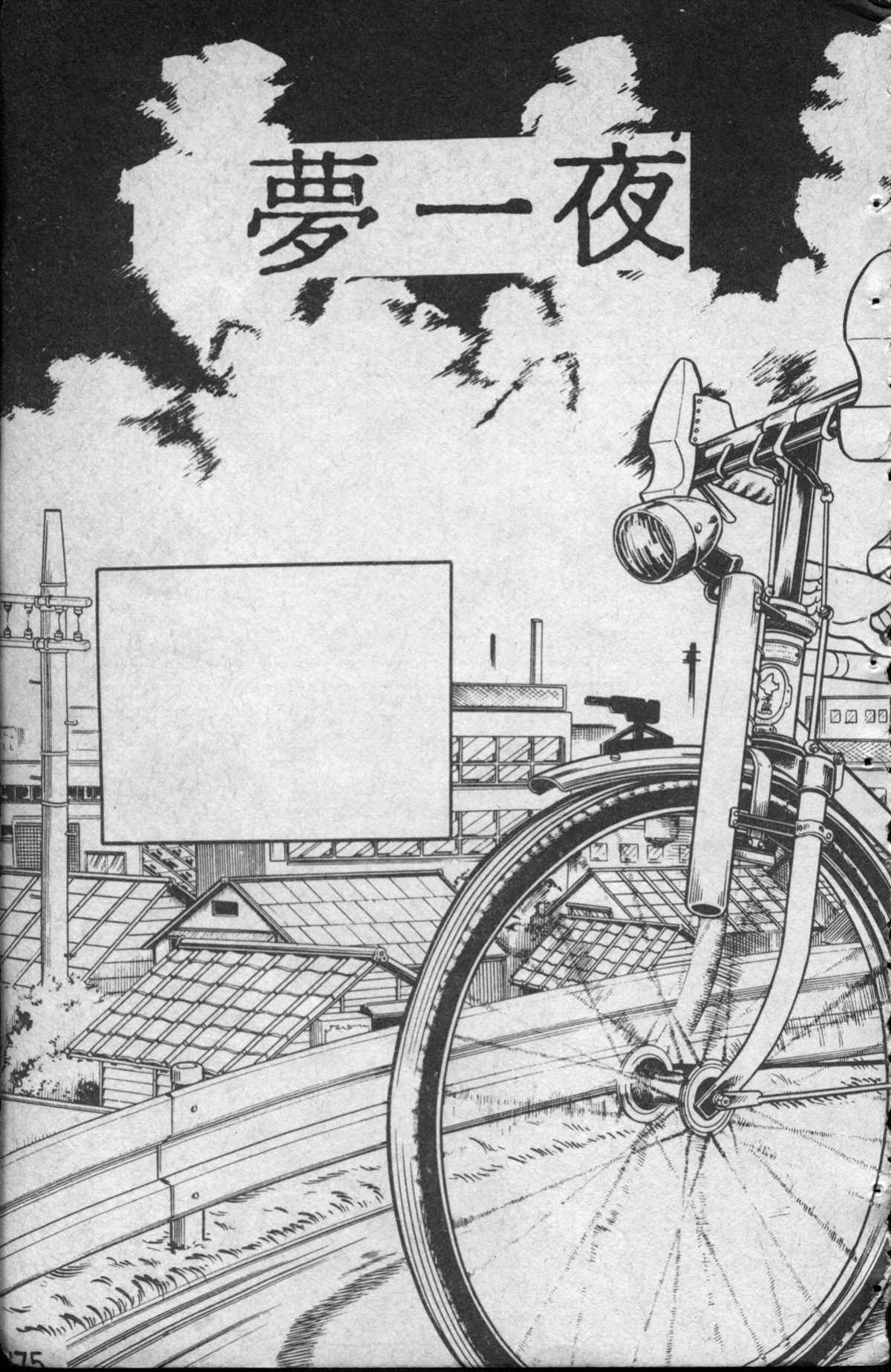 第 176 页