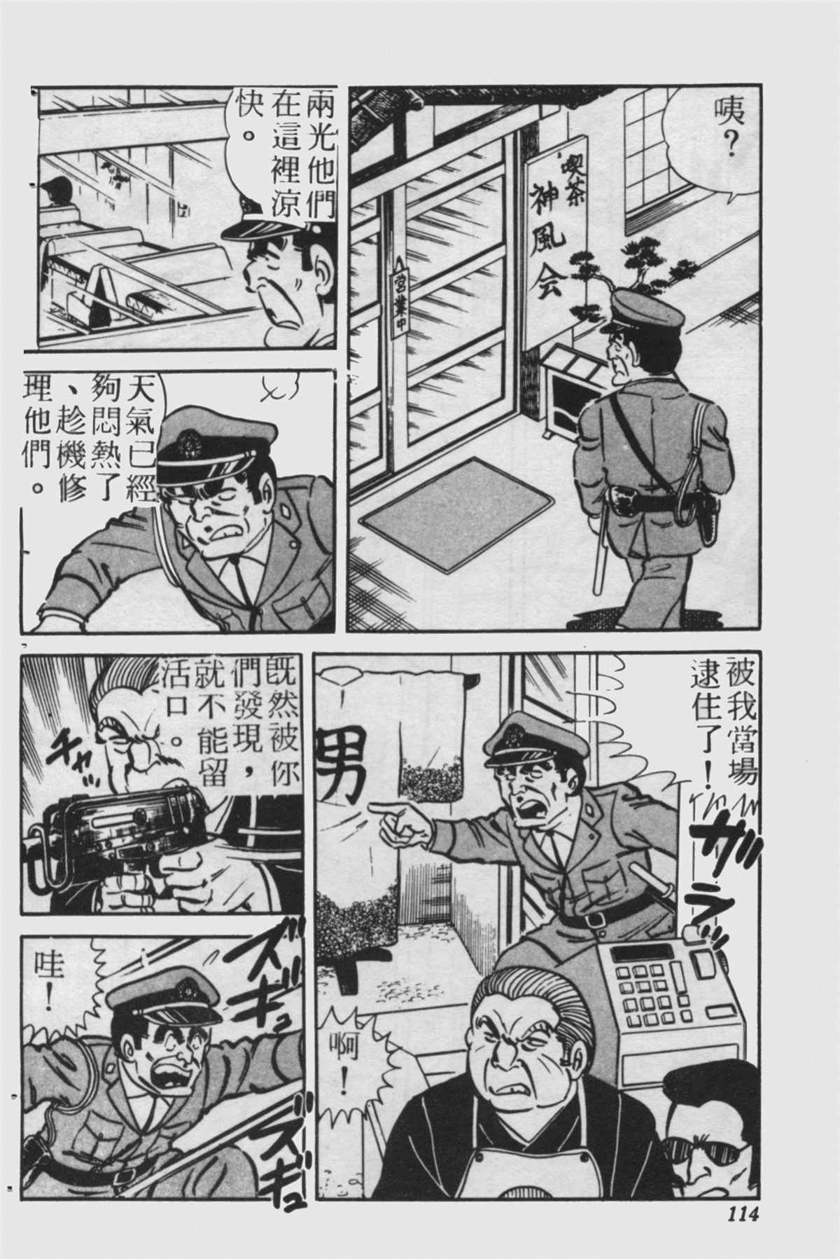 第 113 页