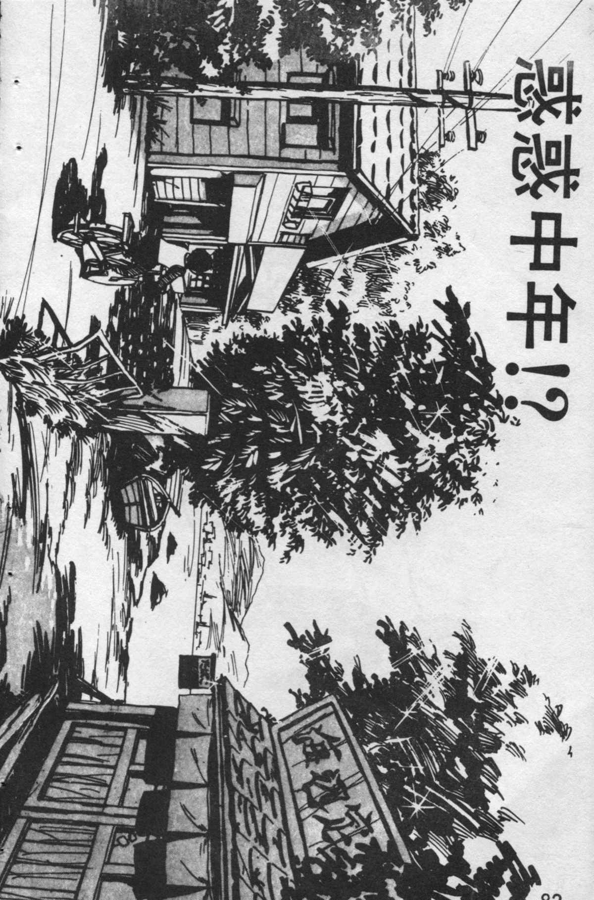 第 81 页