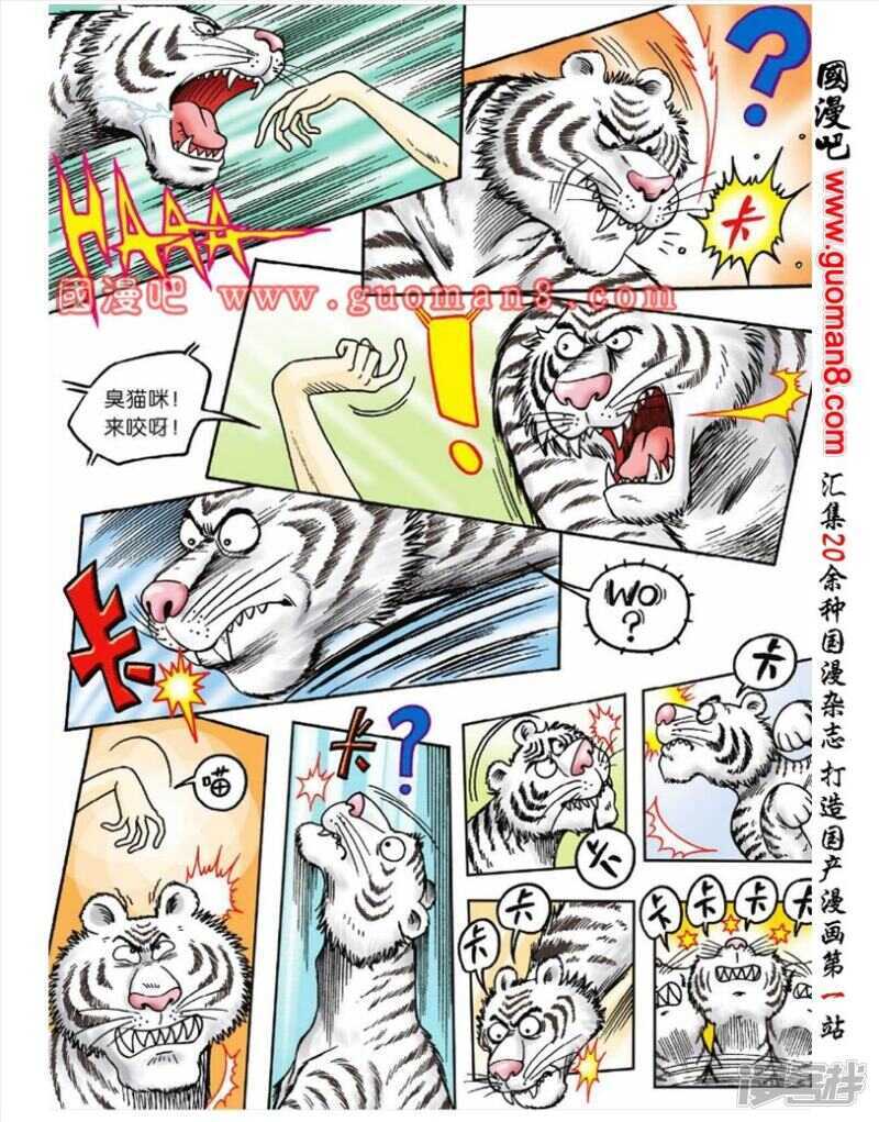 第 17 页