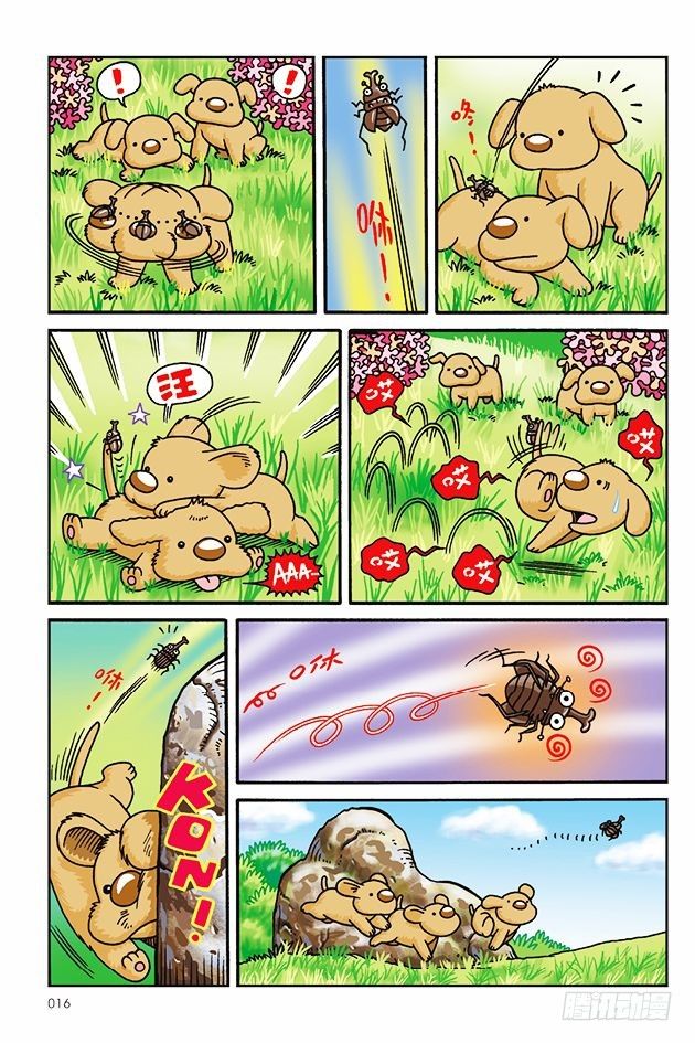 第 12 页