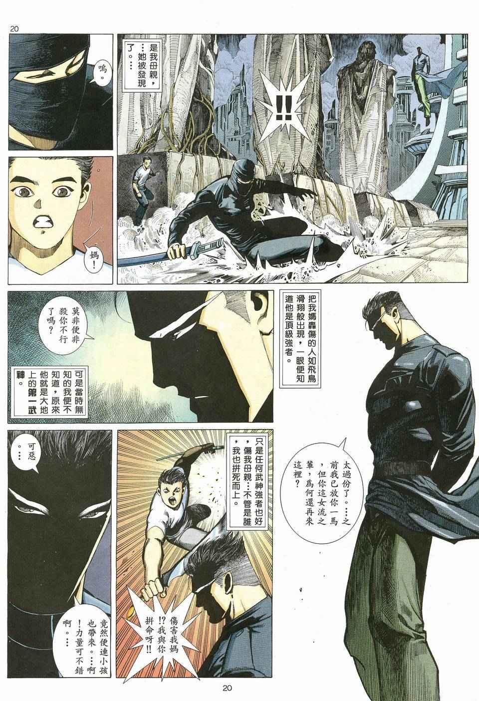 第 20 页