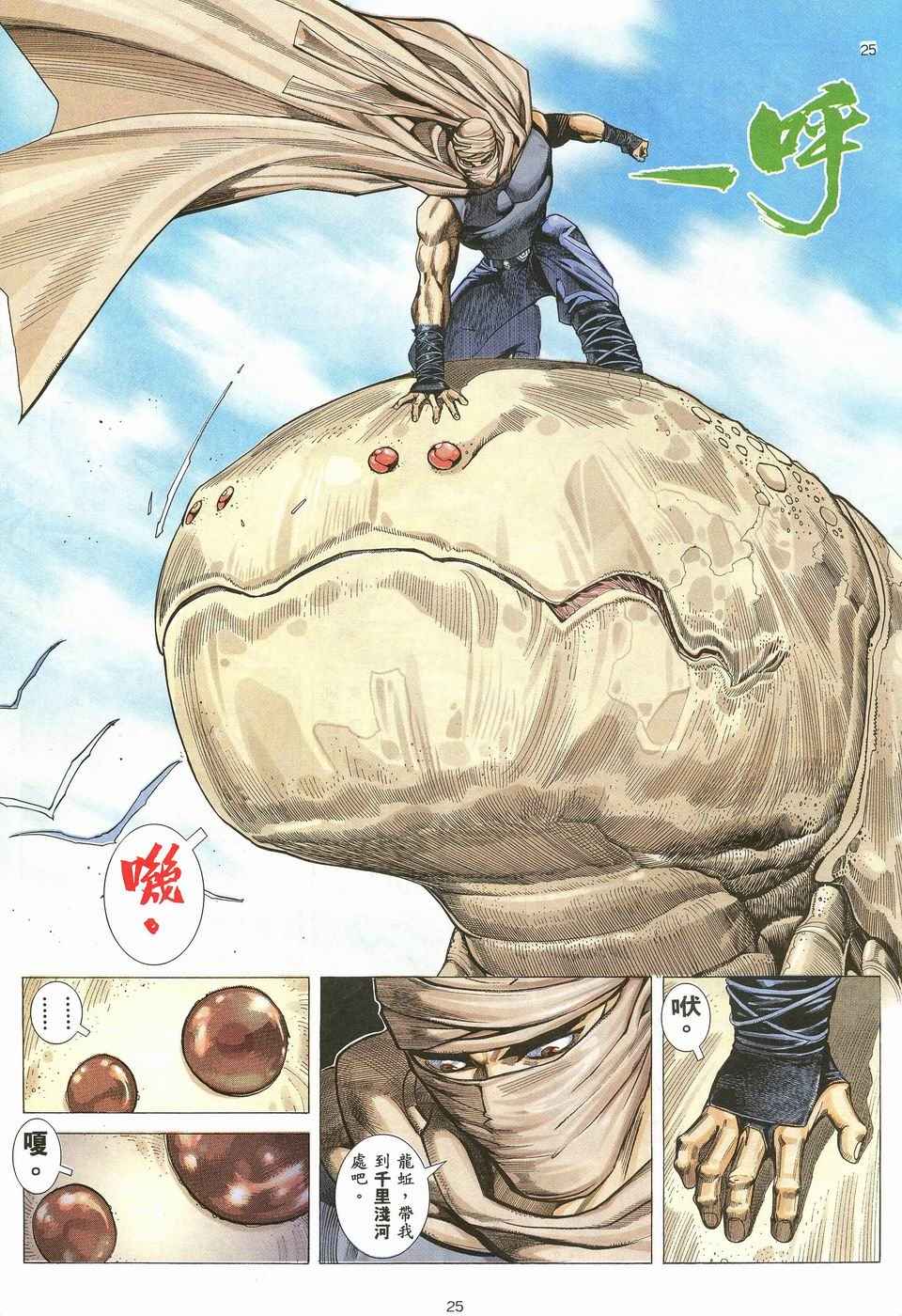 第 25 页