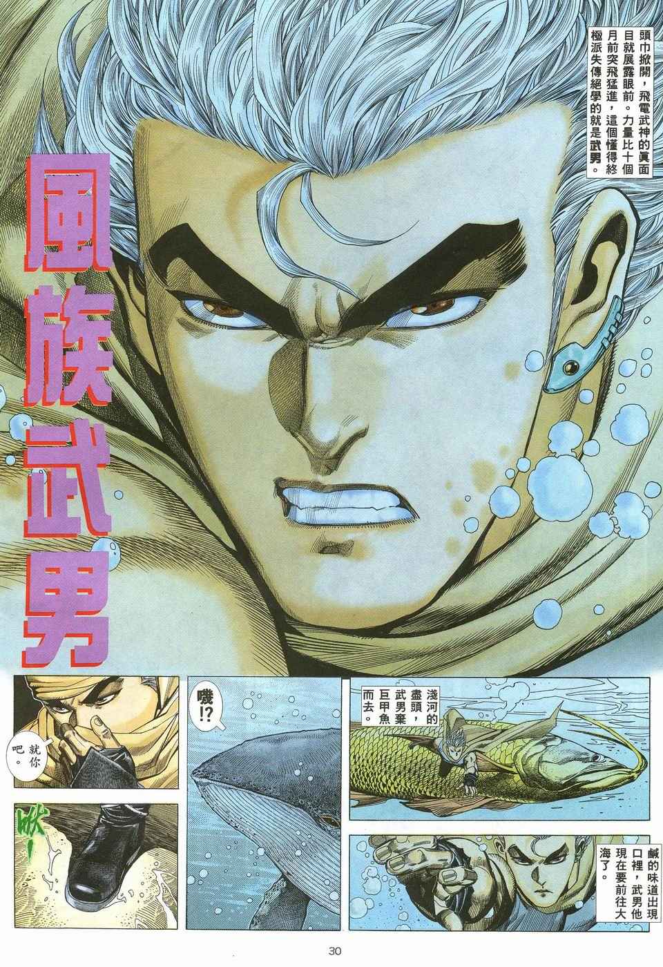 第 30 页