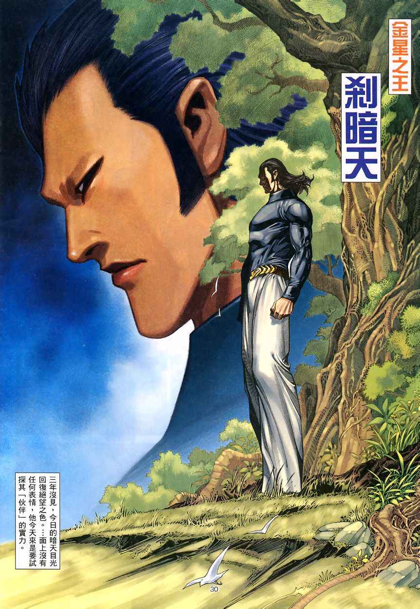 第 30 页