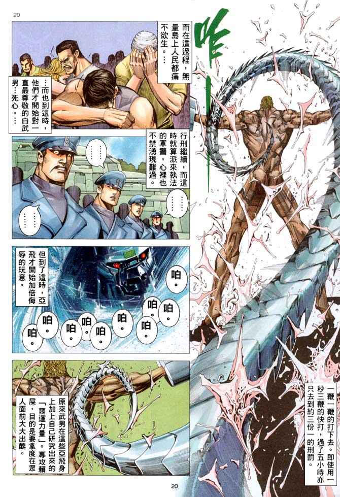 第 20 页