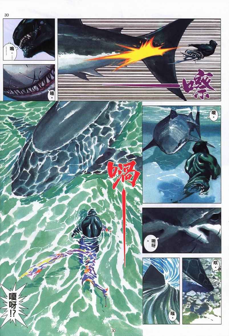 第 30 页