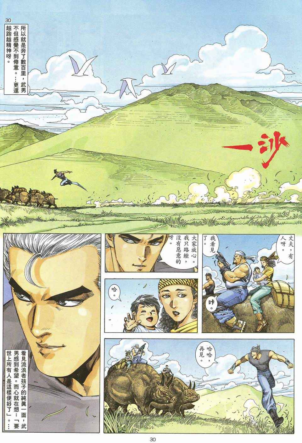 第 30 页