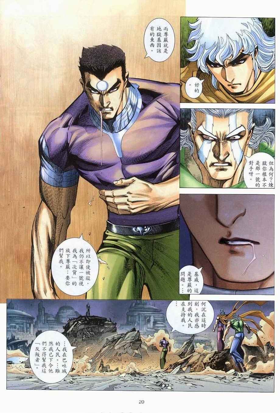 第 20 页