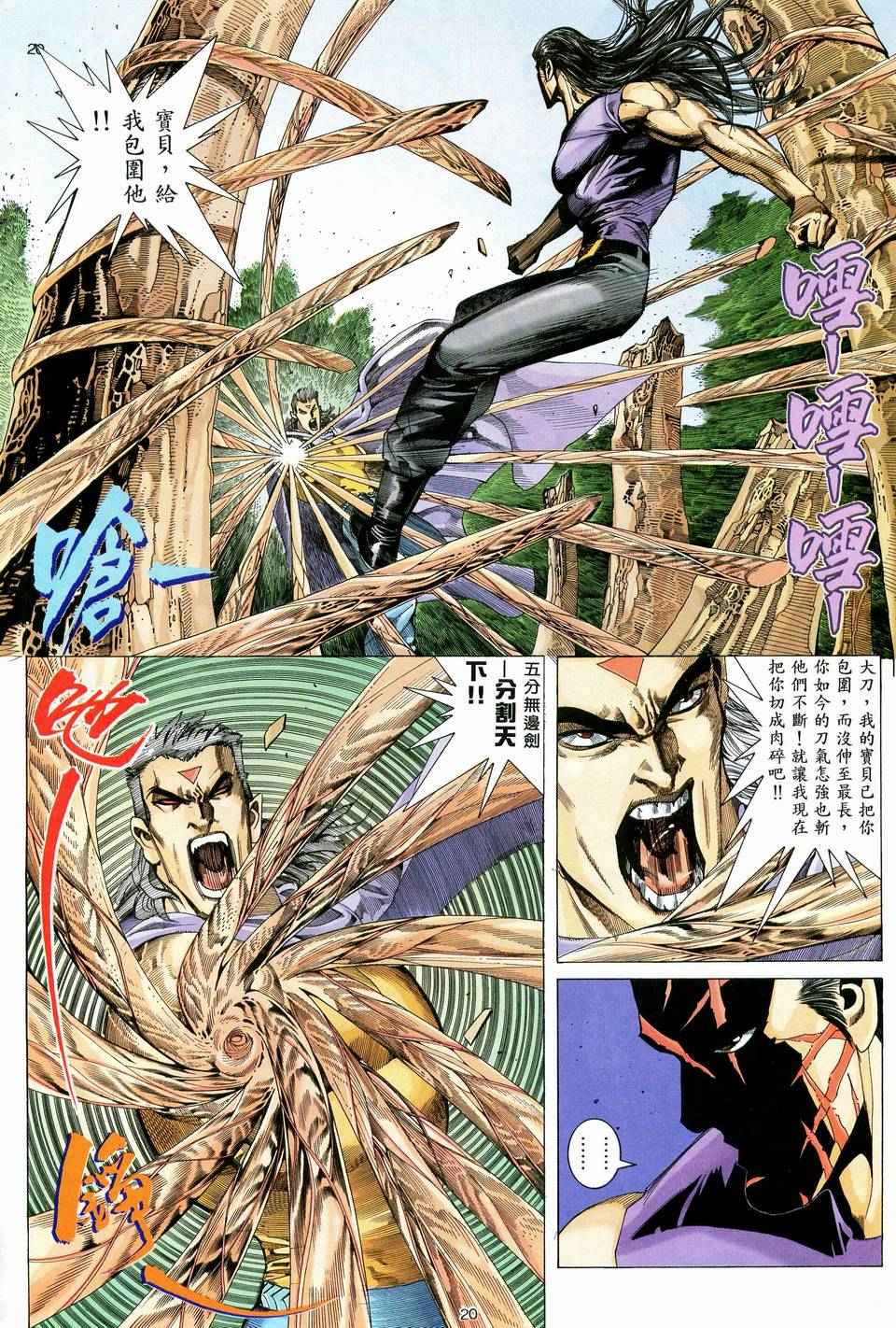 第 20 页