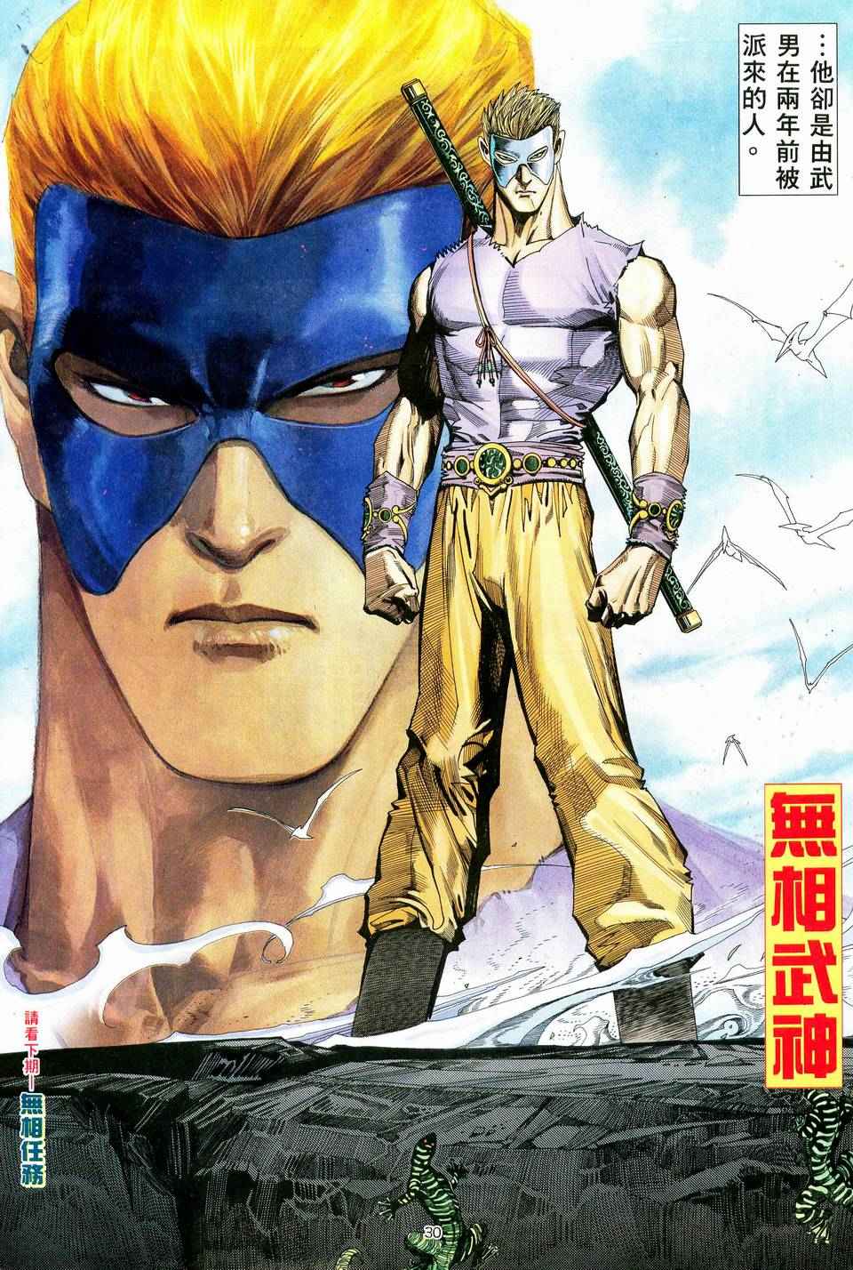 第 30 页