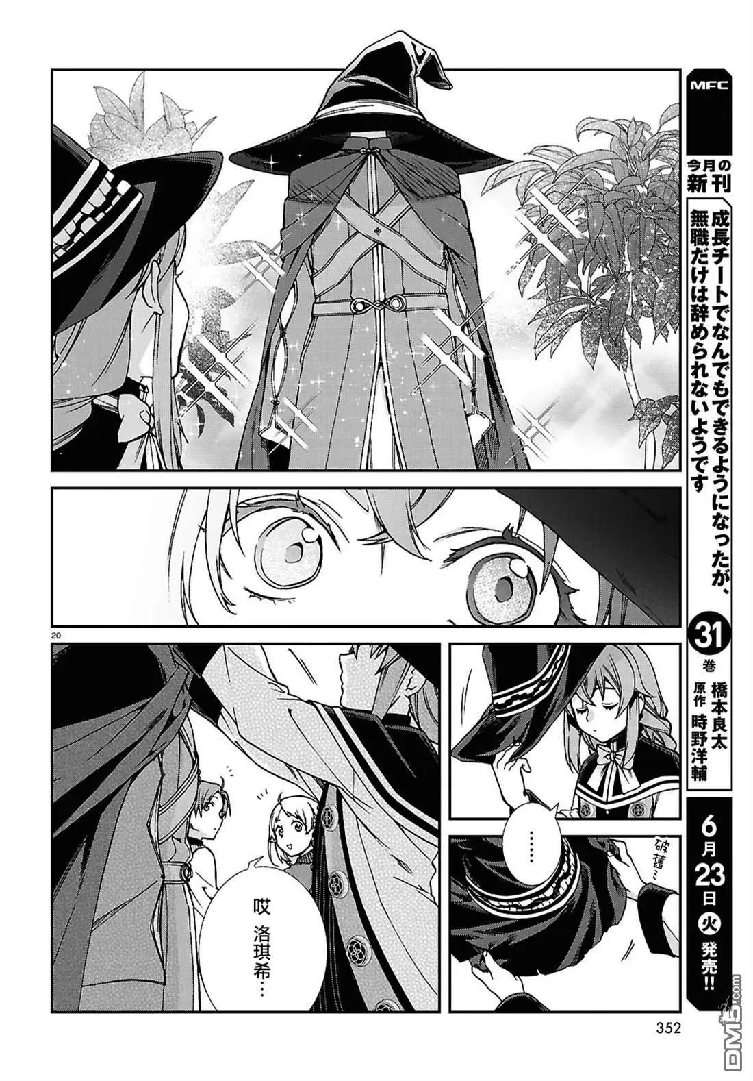 第 20 页