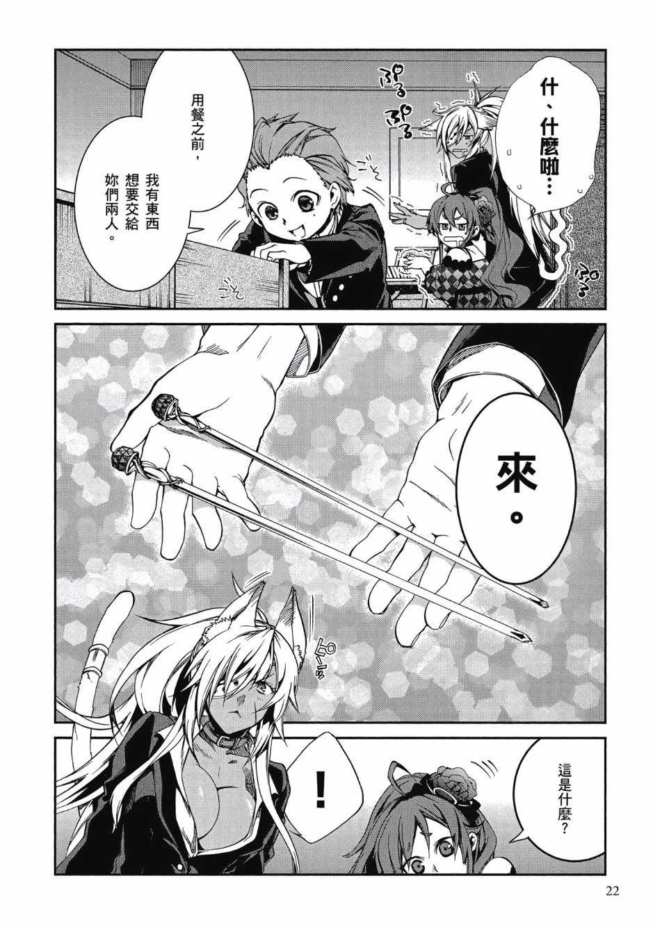 第 22 页