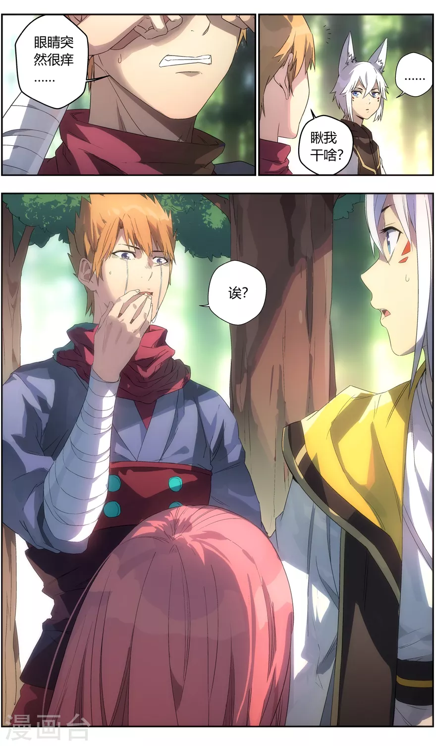 第 4 页