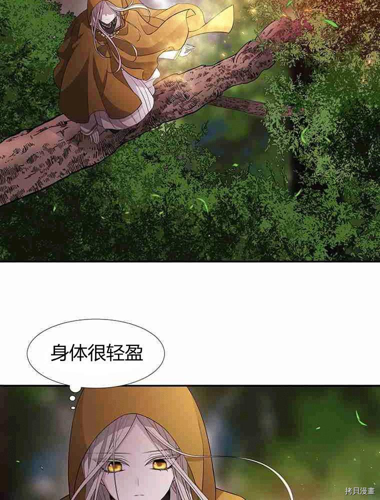 第 51 页