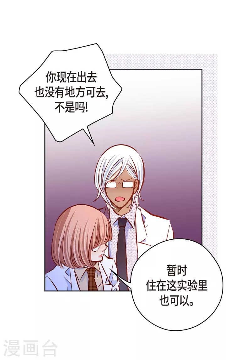 第 41 页
