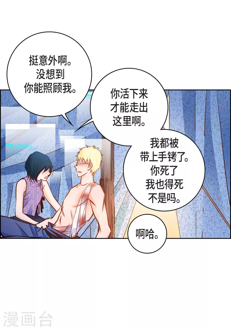 第 33 页