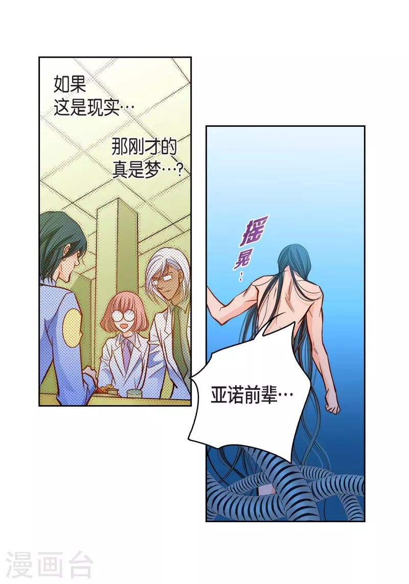 第 41 页