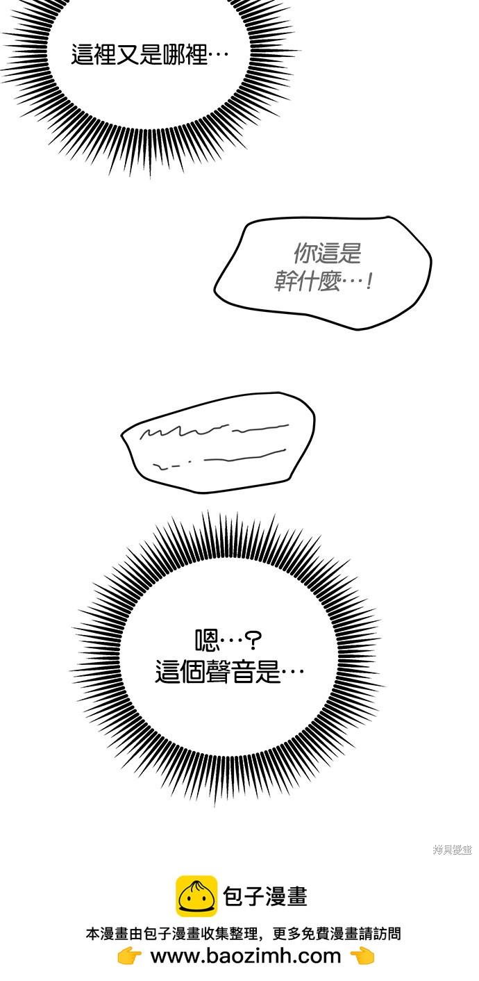 第 100 页