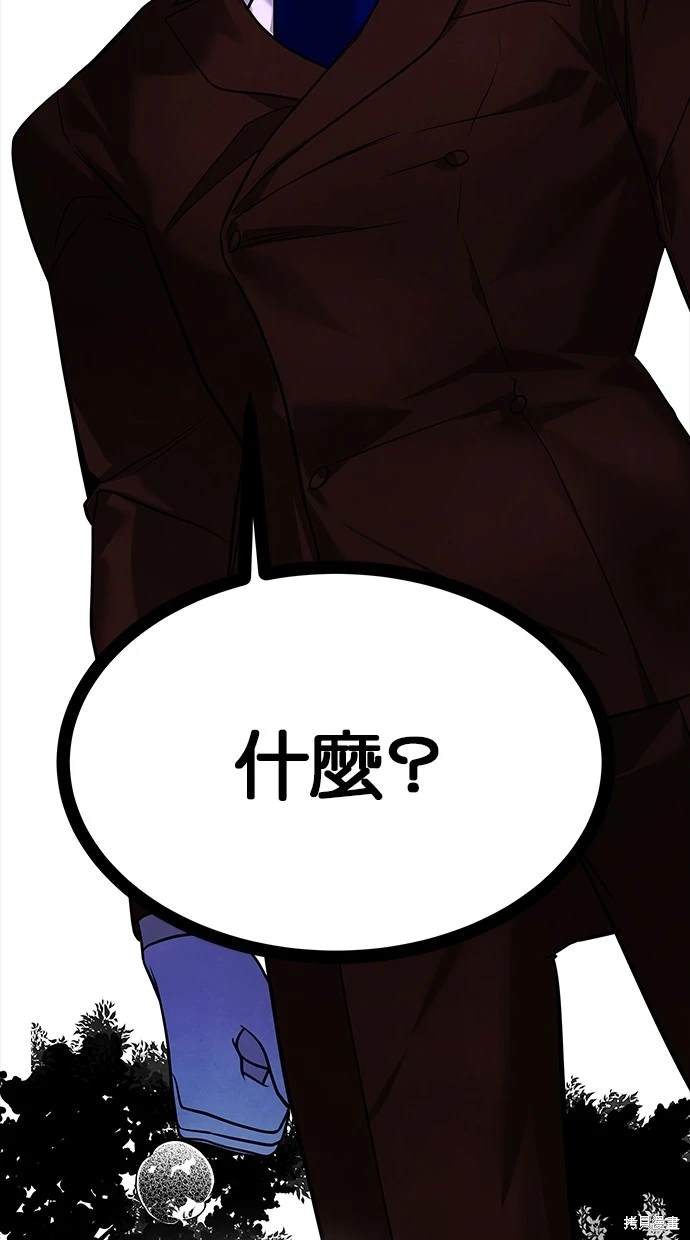第 97 页