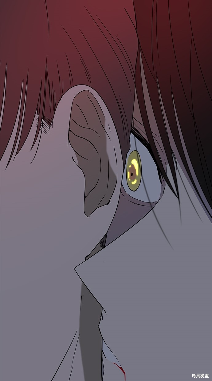 第 111 页
