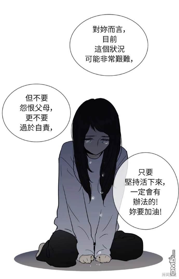 第 41 页