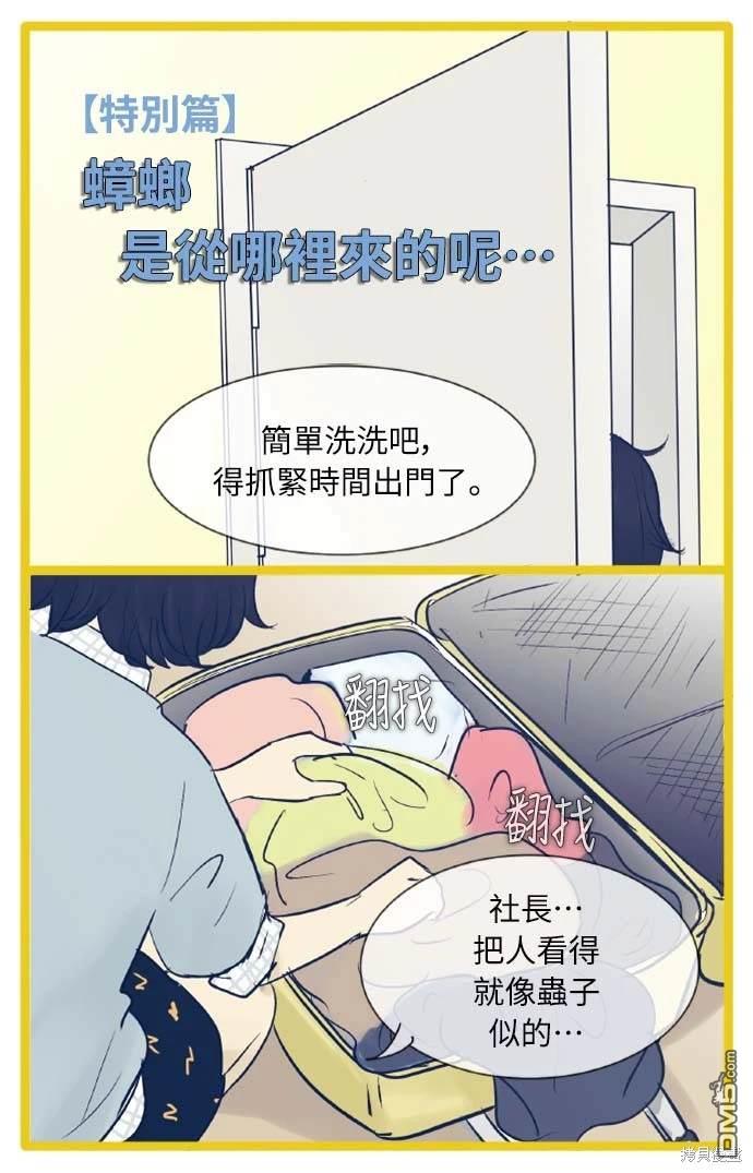 第 43 页