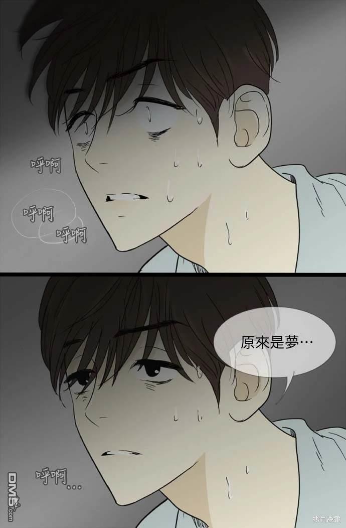 第 41 页