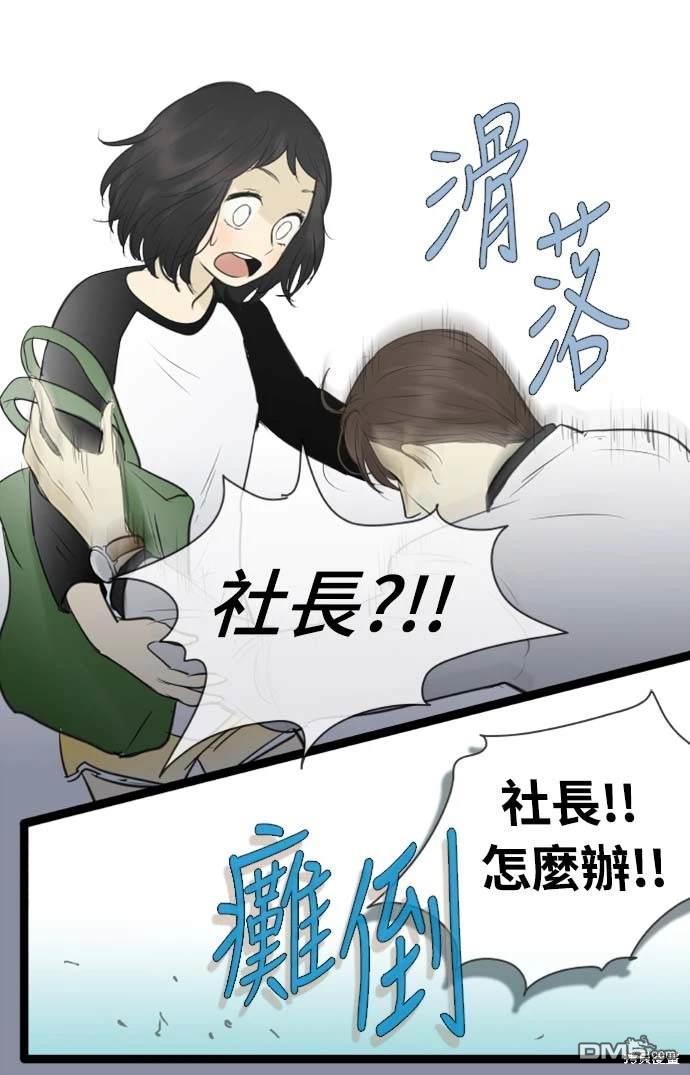 第 41 页