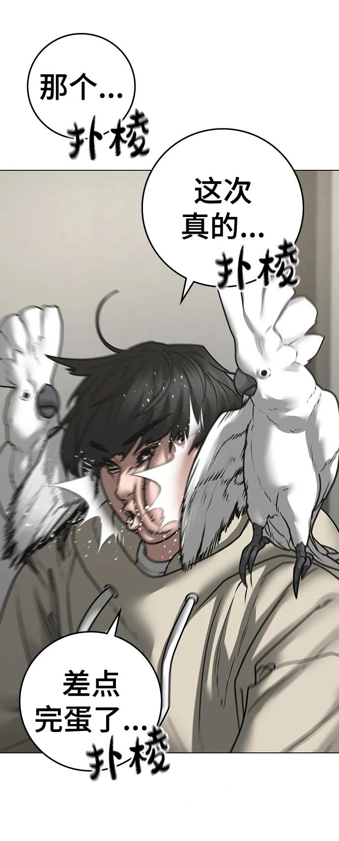 第 82 页