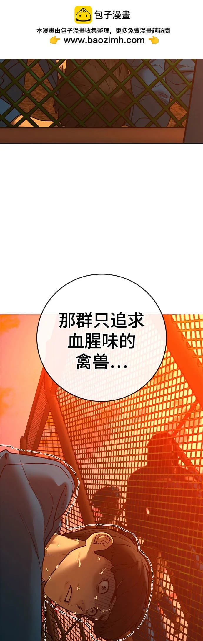 第 51 页