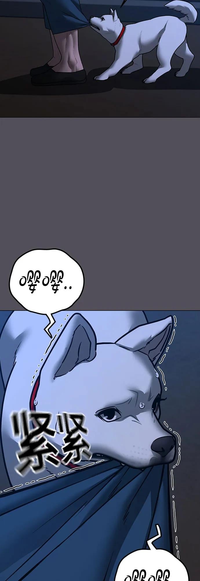 第 63 页