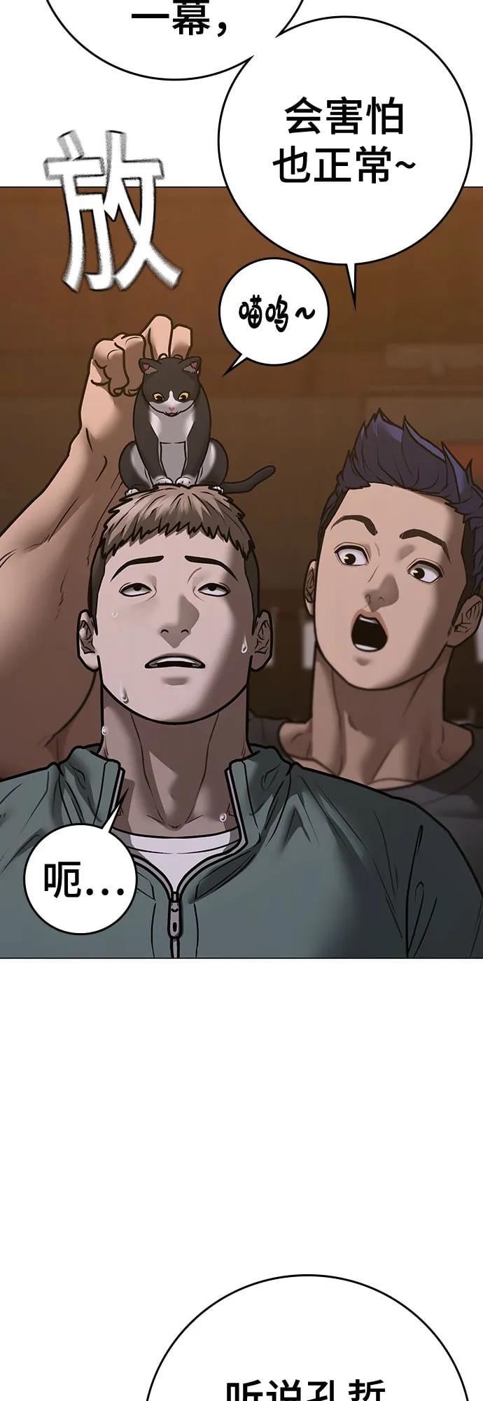 第 43 页