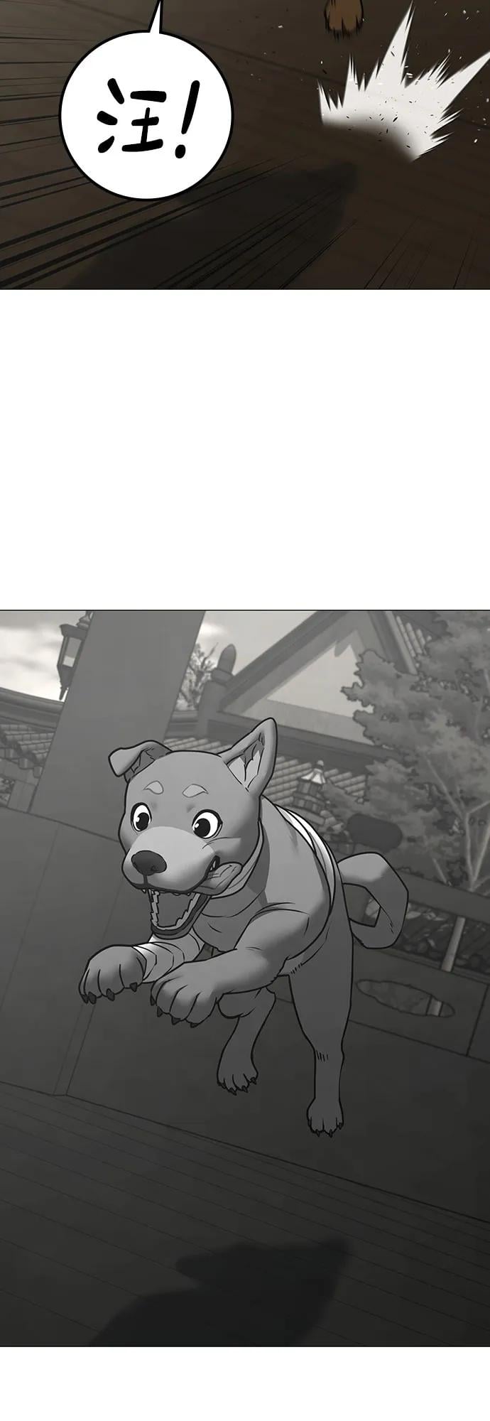 第 74 页