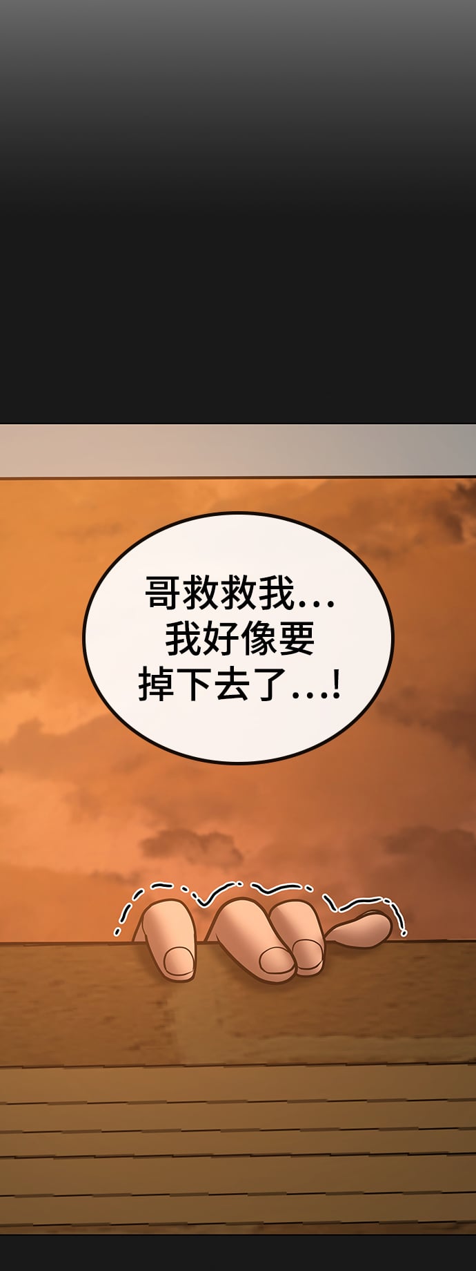 第 110 页
