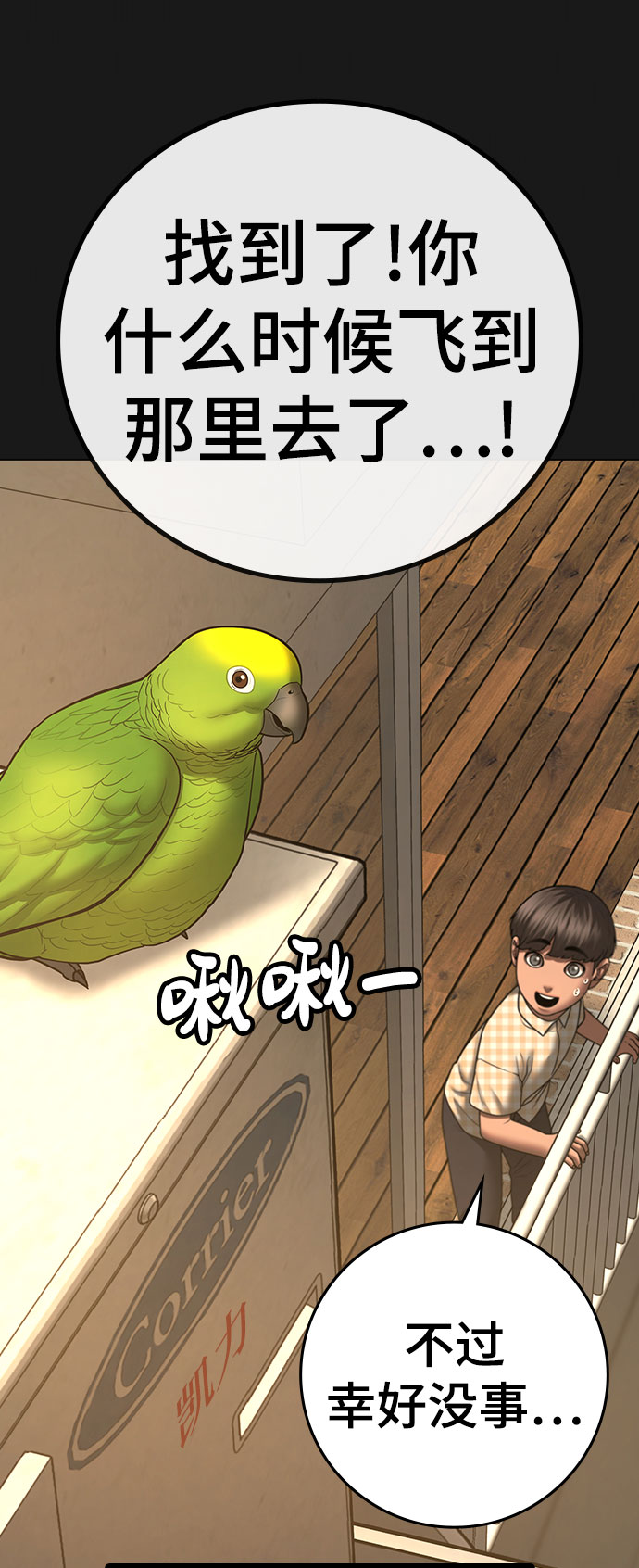 第 30 页