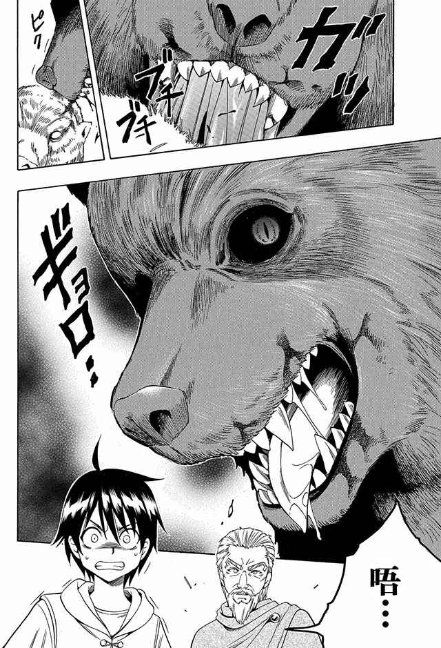 第 20 页