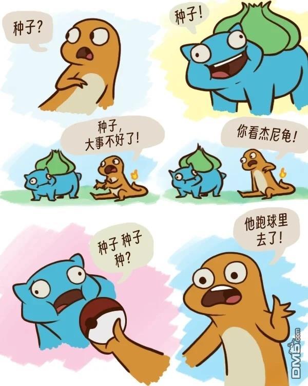 第 7 页