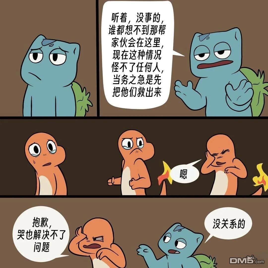 第 5 页