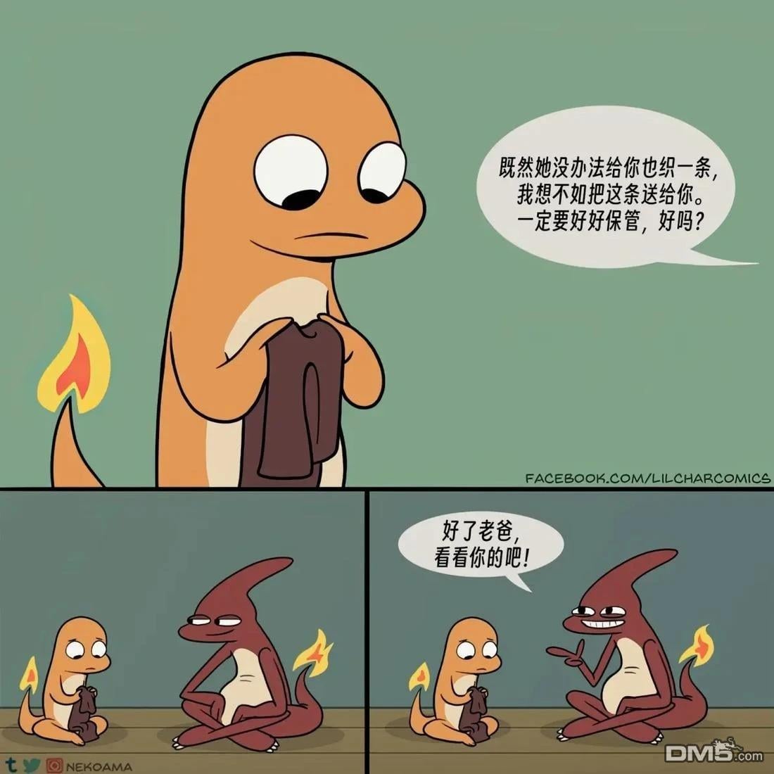第 5 页