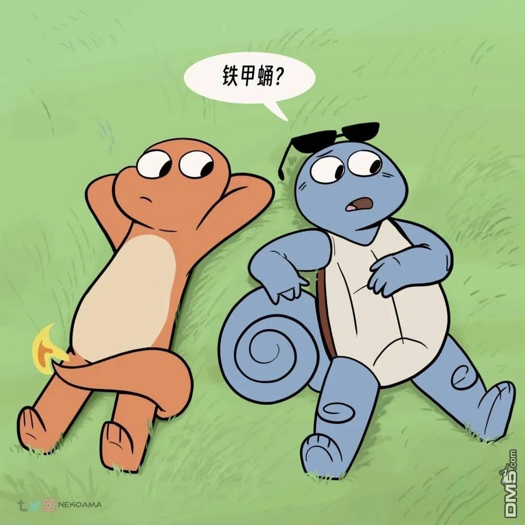 第 8 页
