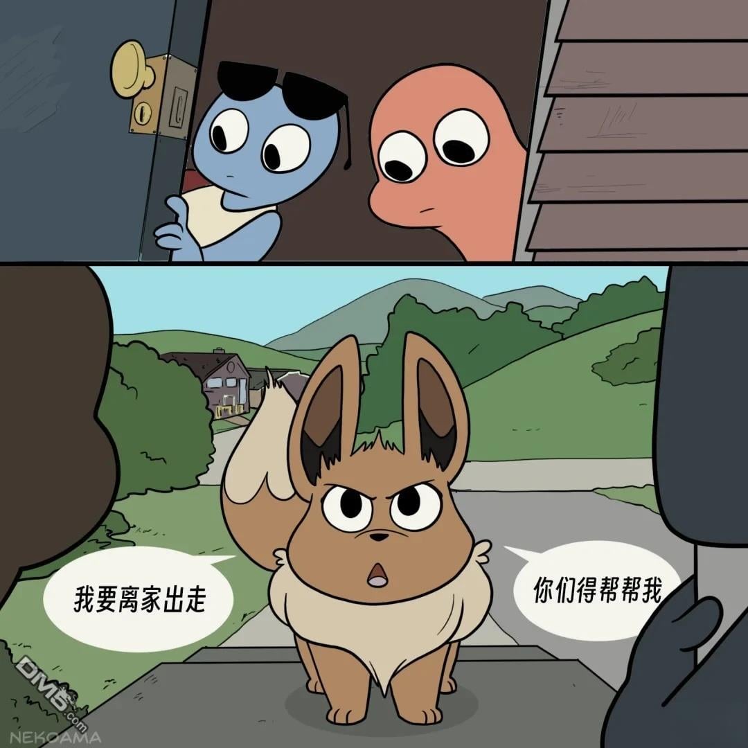 第 11 页