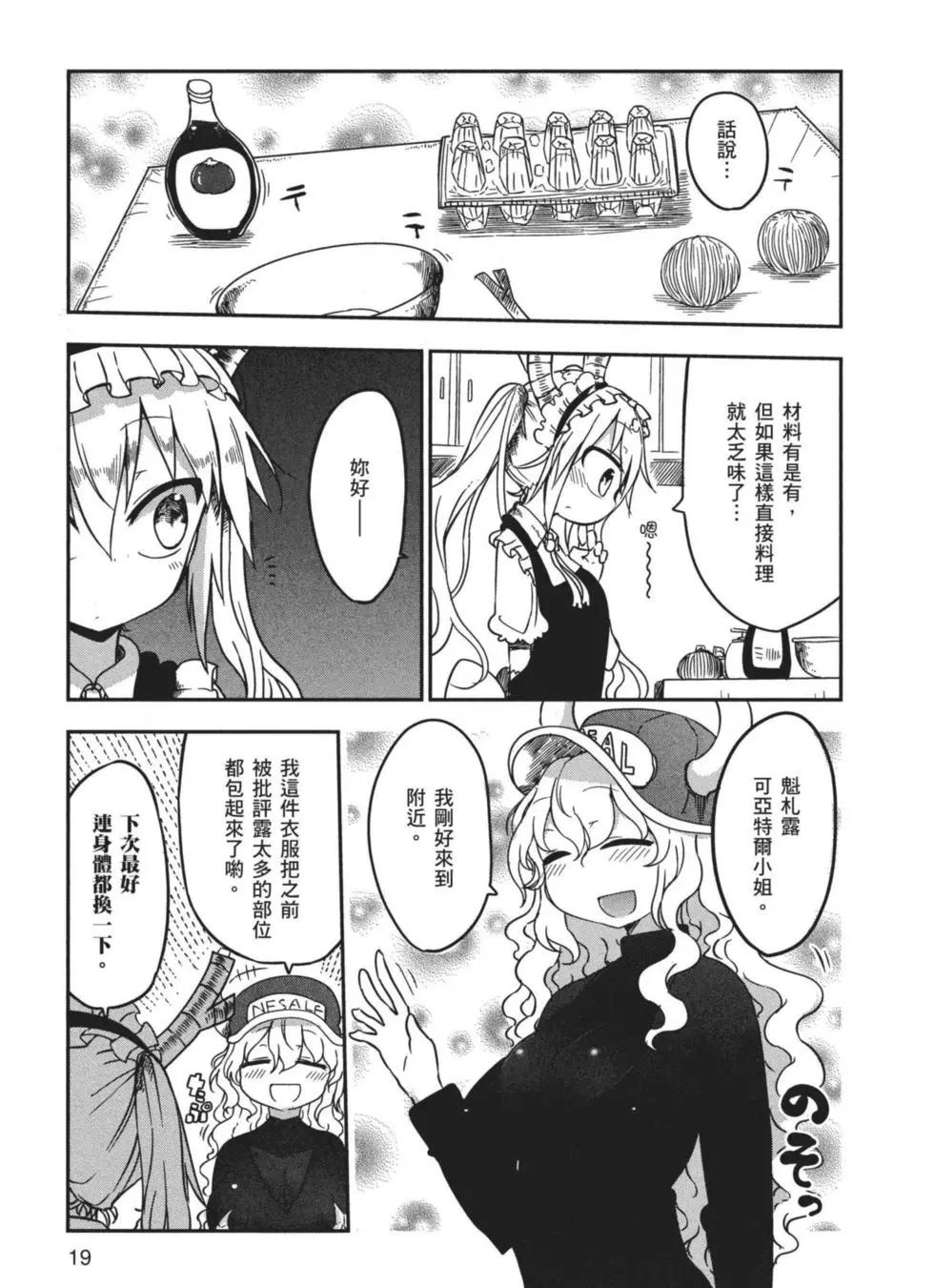 第 20 页