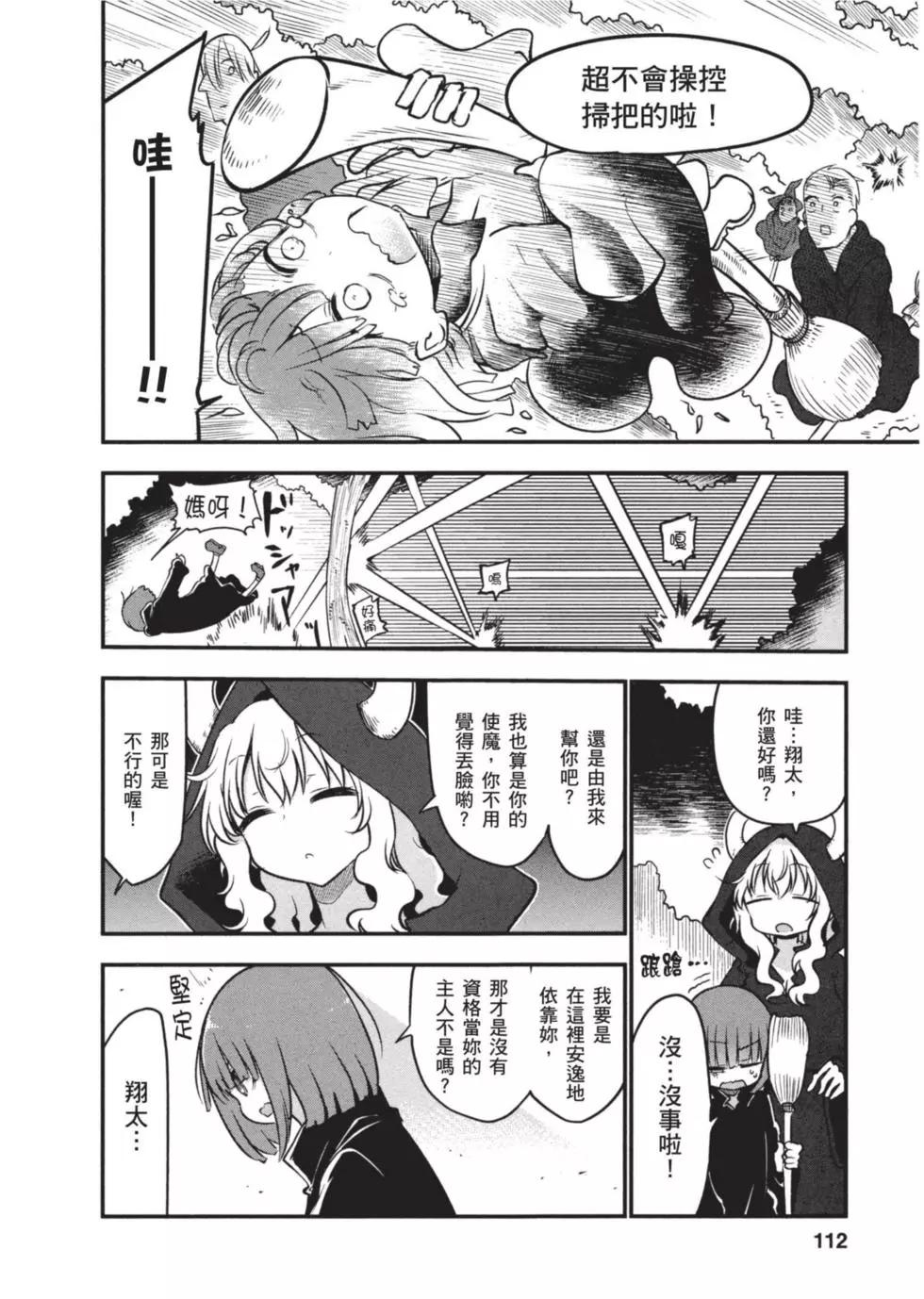 第 111 页