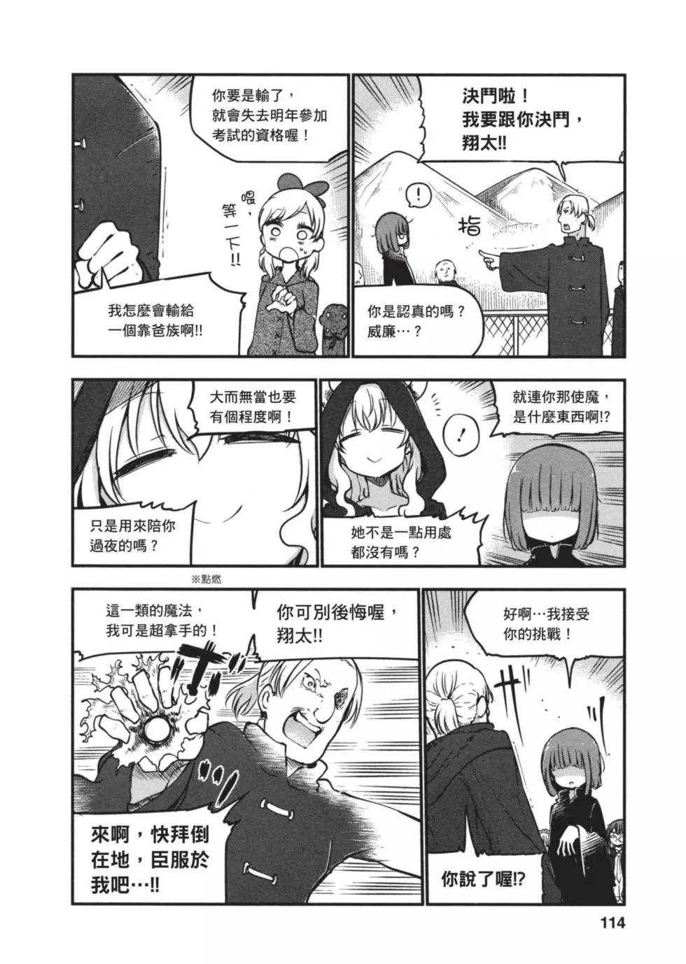 第 113 页